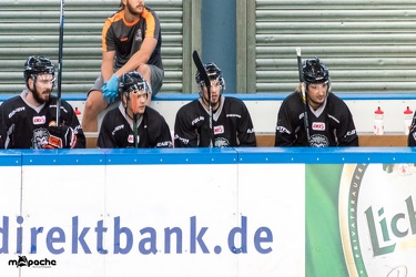 Löwen-Training-1