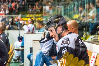 Löwen-23. September 201620