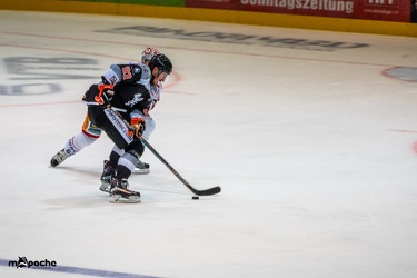 Löwen-23. September 201638