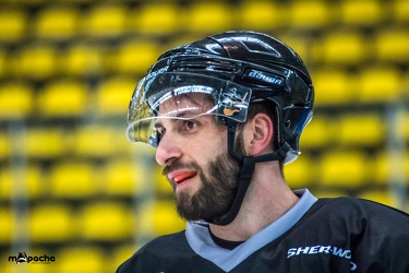 Löwen-12. November 201643