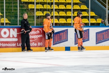Löwen-12. November 201645