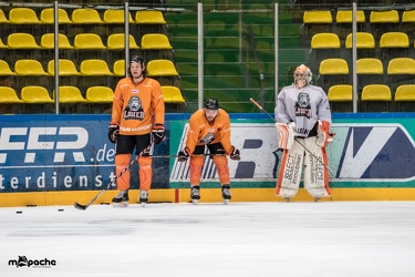 Löwen-12. November 201646