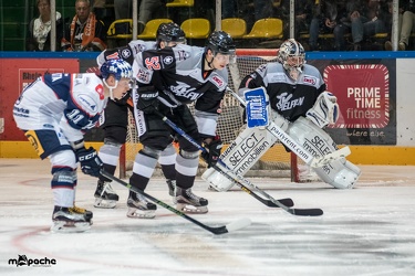 Löwen-20. November 201654