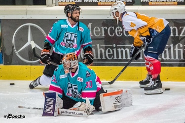 Löwen-25. November 20161