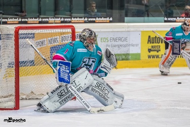 Löwen-25. November 20163