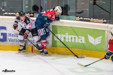 Löwen-25. November 201617