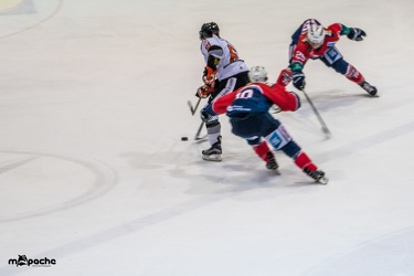 Löwen-25. November 201641