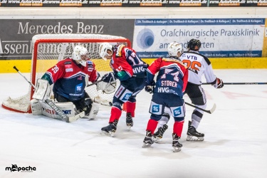 Löwen-25. November 201648