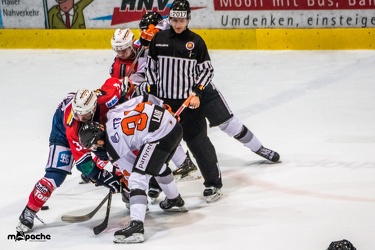 Löwen-25. November 201649