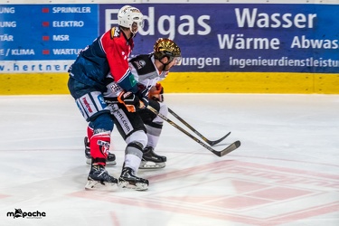 Löwen-25. November 201653