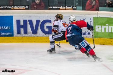 Löwen-25. November 201654