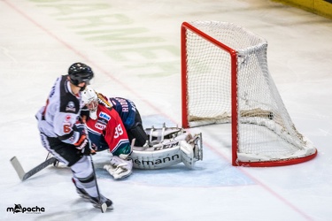 Löwen-25. November 201658
