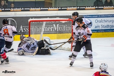 Löwen-25. November 201662