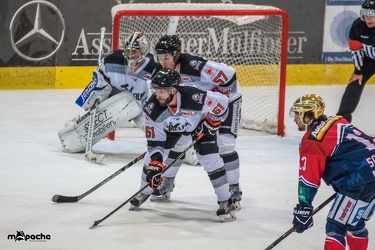 Löwen-25. November 201664
