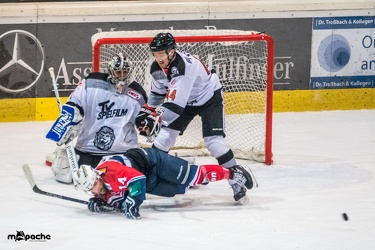 Löwen-25. November 201665