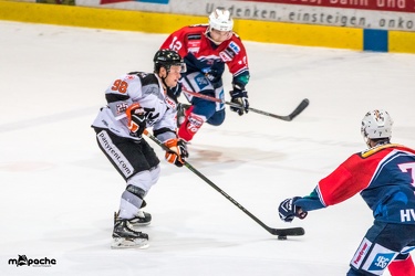 Löwen-25. November 201666