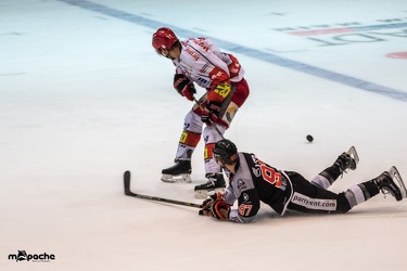 Löwen-27. November 201649
