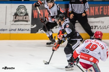 Löwen-27. November 201655