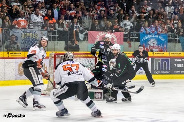 Löwen-19. April 201738