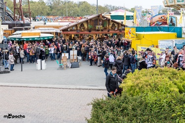Löwen-21. April 20173