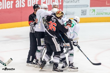 Löwen-21. April 201762