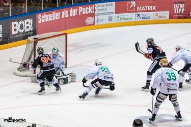Löwen-21. April 201778