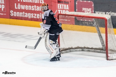 Löwen-21. April 201780
