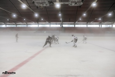 Löwen-15. August 2017-16