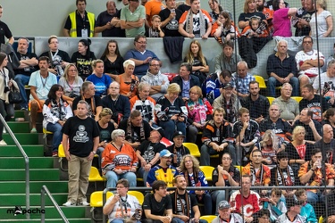 Löwen-19. August 2017-18