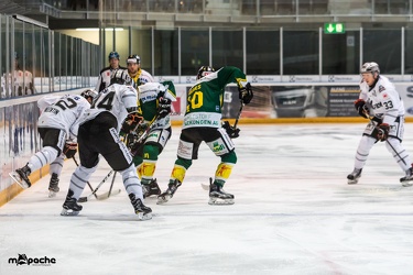 Löwen-02. September 2017-17