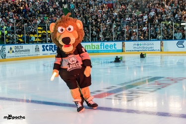 Löwen-15. September 2017-47