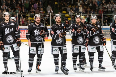 Löwen-15. September 2017-188