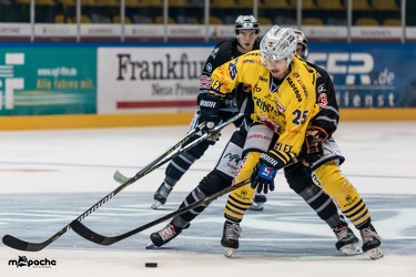 Löwen-29. September 2017-20