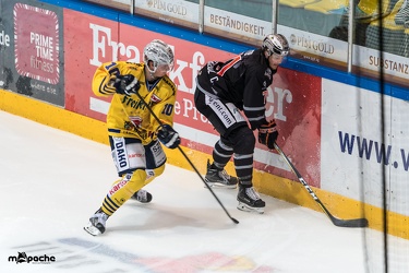 Löwen-29. September 2017-55