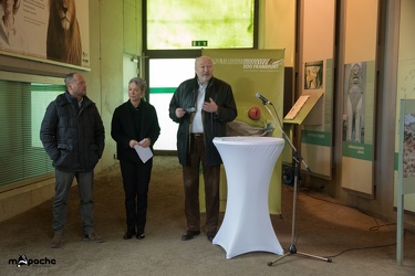 Löwen-06. November 2017-2