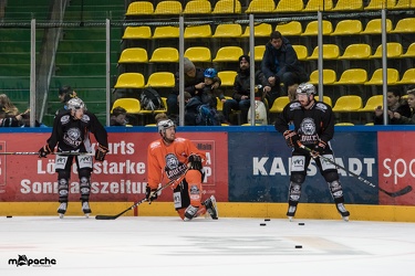 Löwen-11. November 2017-18