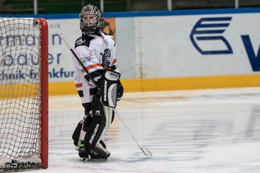 Löwen-11. November 2017-66