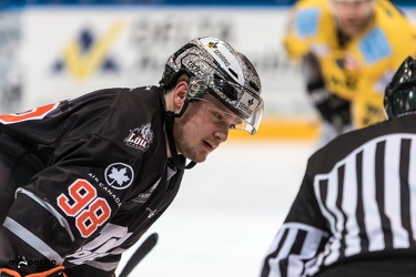 Löwen Frankfurt - Bayreuth Tigers - 13.2.18