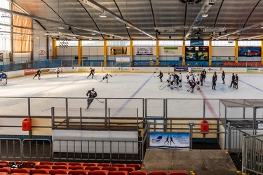 Löwen-August 06, 2018