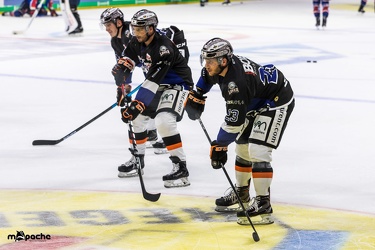 Adler Mannheim- Löwen Frankfurt - 07.09.18-002