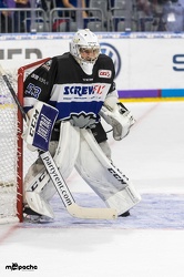 Adler Mannheim- Löwen Frankfurt - 07.09.18-005