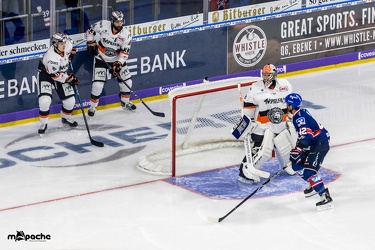 Adler Mannheim- Löwen Frankfurt - 07.09.18-020