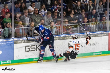 Adler Mannheim- Löwen Frankfurt - 07.09.18-035