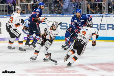 Adler Mannheim- Löwen Frankfurt - 07.09.18-036