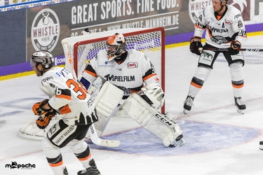 Adler Mannheim- Löwen Frankfurt - 07.09.18-038
