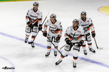 Adler Mannheim- Löwen Frankfurt - 07.09.18-043