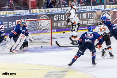 Adler Mannheim- Löwen Frankfurt - 07.09.18-062