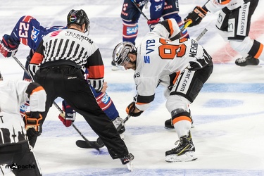 Adler Mannheim- Löwen Frankfurt - 07.09.18-072