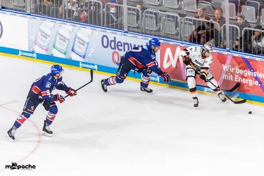 Adler Mannheim- Löwen Frankfurt - 07.09.18-075
