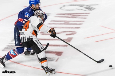 Adler Mannheim- Löwen Frankfurt - 07.09.18-079